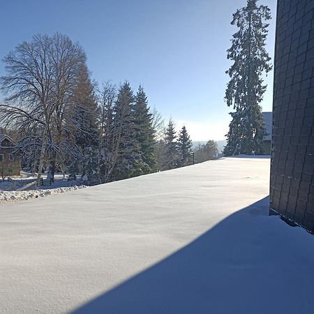 Appartement In Het Sportgebied Van Winterberg Ngoại thất bức ảnh